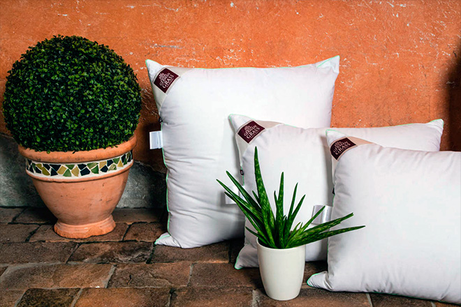 Подушка с Алоэ Вера: особенности подушек Aloe Vera, полезные свойства