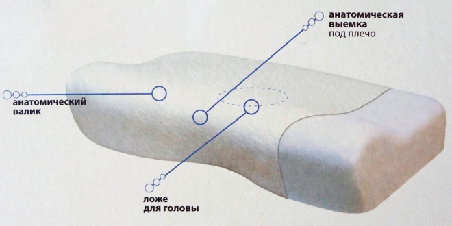 Высота валика ортопедической подушки